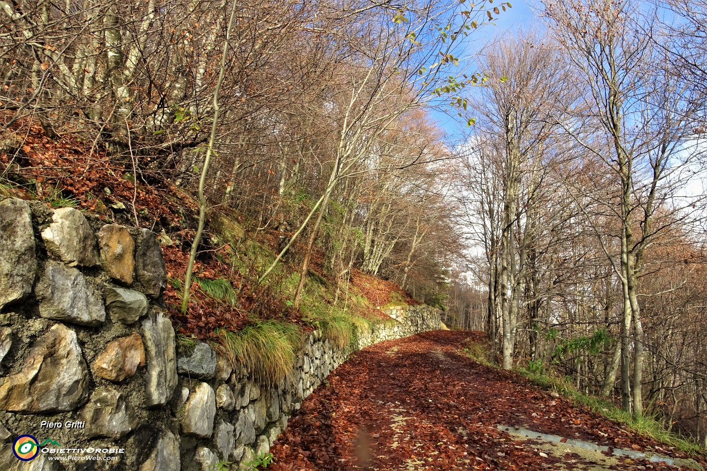 10 Strada colorata d'autunno.JPG